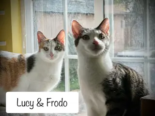 Frodo (bonded w/ Lucy)