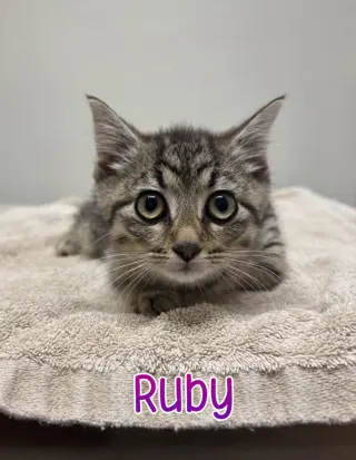 Ruby