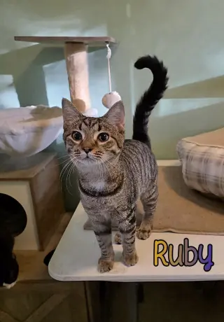 Ruby