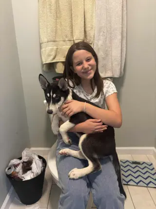 Jonsey (Fortnite Litter)