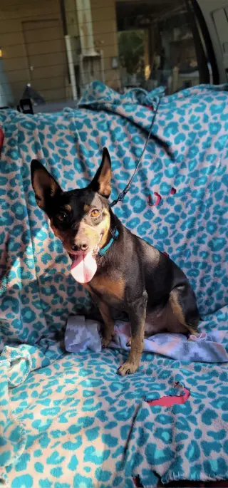 Rosco