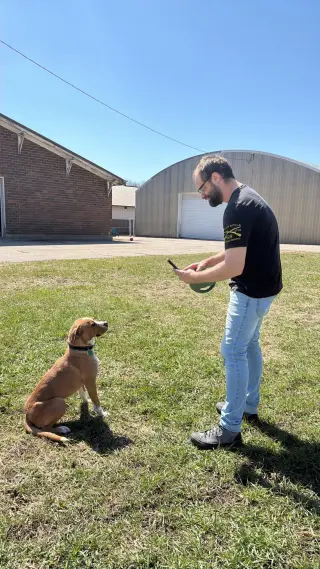 Johnny - FOSTER OR ADOPT ME!!
