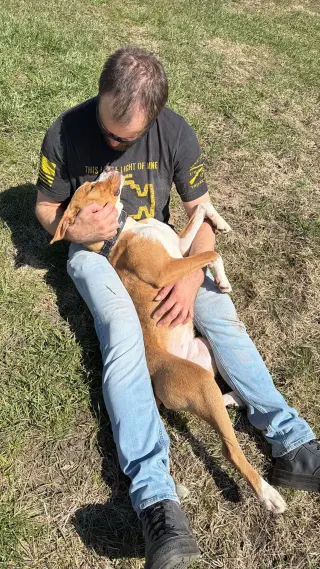 Johnny - FOSTER OR ADOPT ME!!