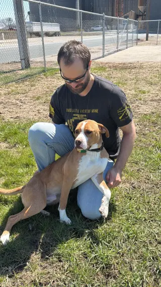 Johnny - FOSTER OR ADOPT ME!!
