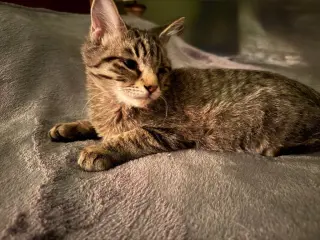 Rusty