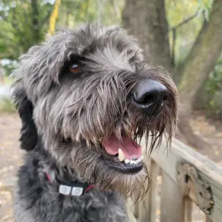 Smokey