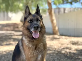 Bianca