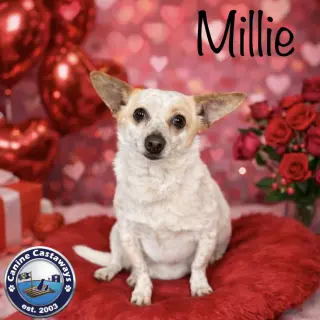 Millie