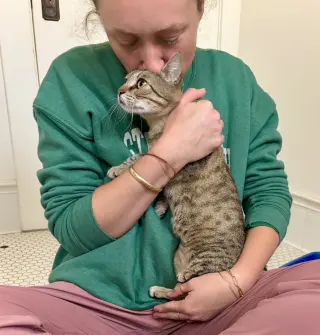 Kanga & Roo