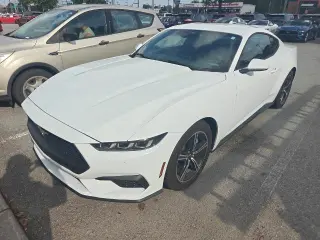 Ford Mustang 2025 EcoBoost 2dr Fastback