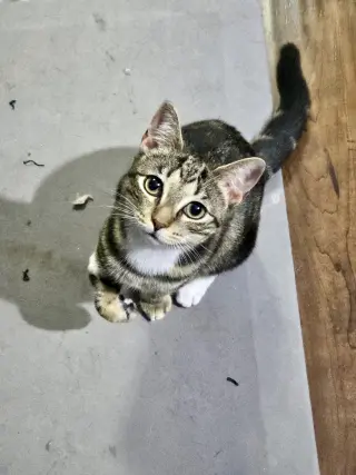 Tuck N Roll