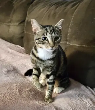 Tuck N Roll