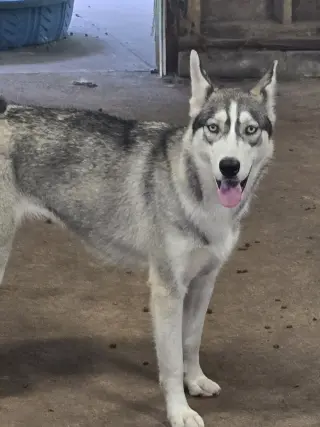Tilly - ON HOLD - NO MORE APPLICATIONS