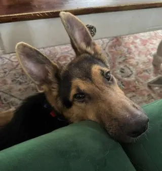Atlas