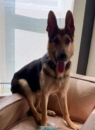 Atlas