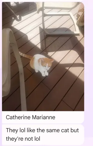 Catherine Marianne