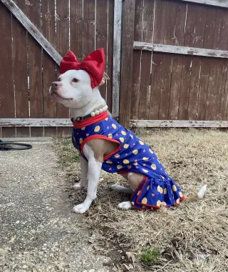 Wiggles