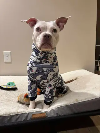 Wiggles