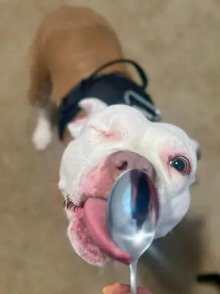 Wiggles