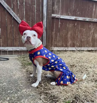 Wiggles