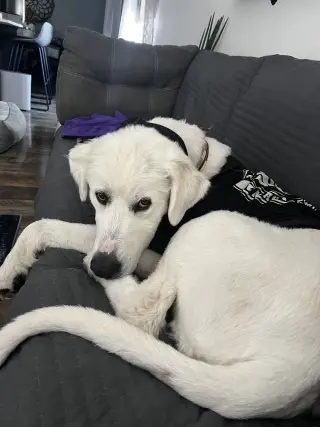 Denali