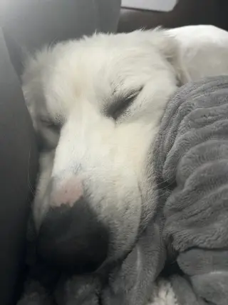 Denali