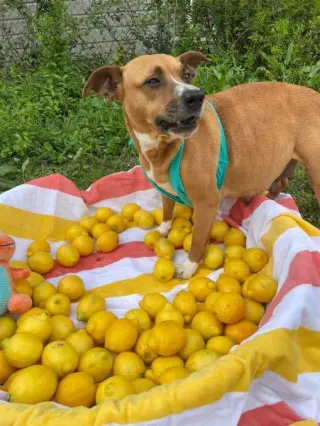 Penelope (Penny)