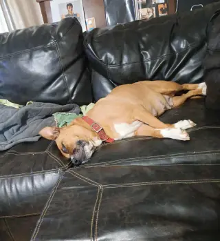 Penelope (Penny)