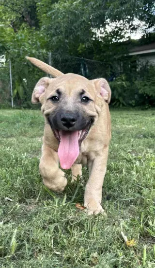 Ben