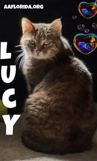 Lucy