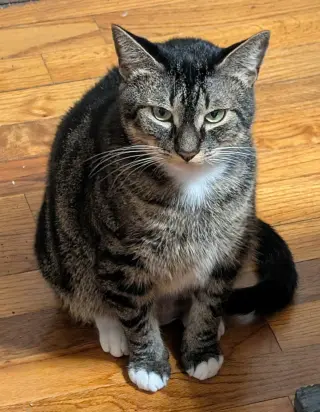 Kie