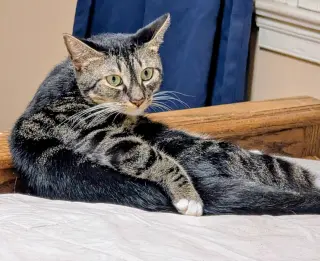 Kie