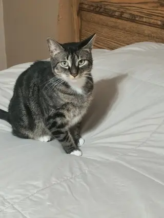 Kie