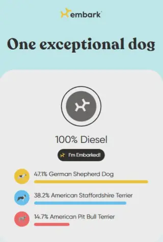 Diesel - M