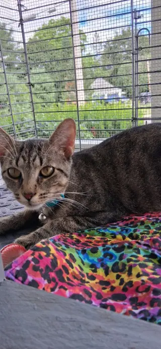 Margie