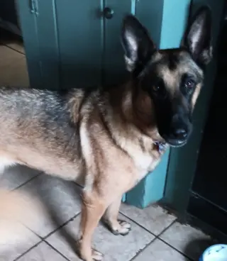 Trixie