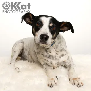 Pete