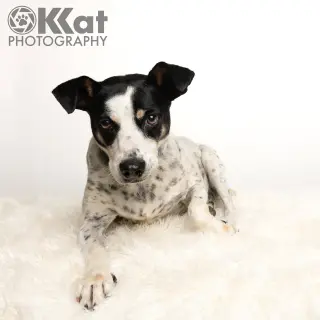 Pete