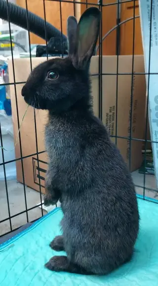 Ellie