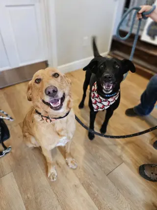 Beckett & Berkley