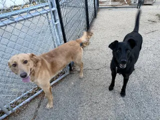 Beckett & Berkley