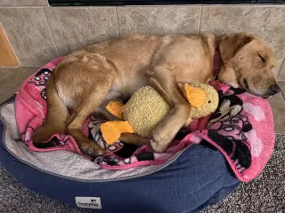 Beckett & Berkley