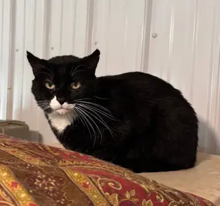 Bob