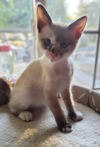 Sally
