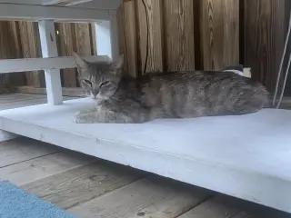 Little