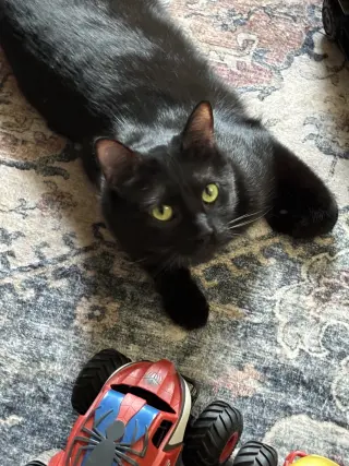 Jasper