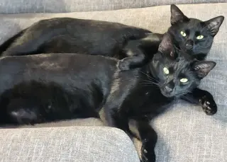 Onyx