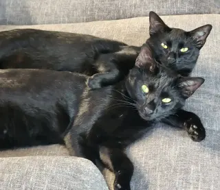 Onyx