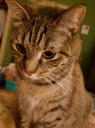 Dilly