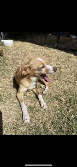Mia